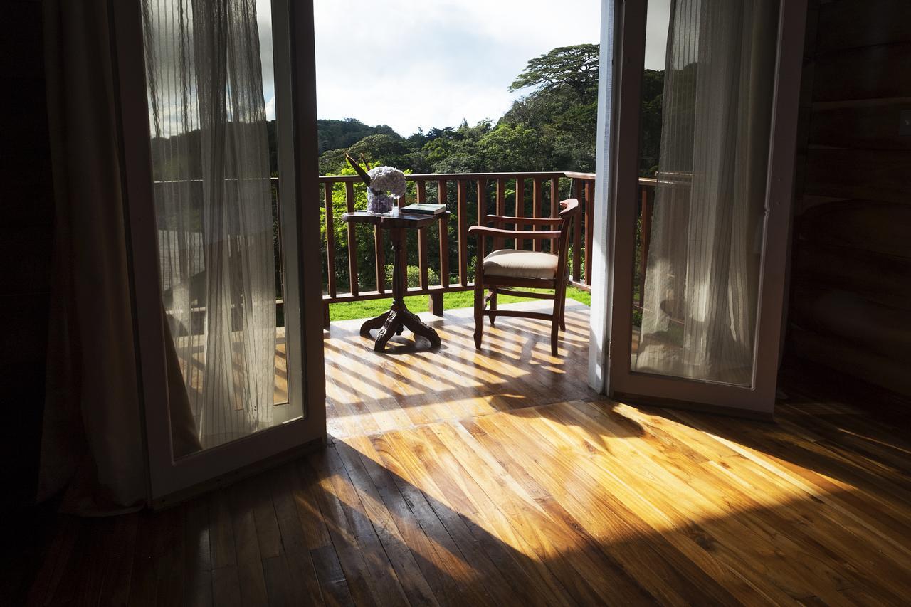 Hotel Bosque Verde Lodge Monteverde Exteriér fotografie