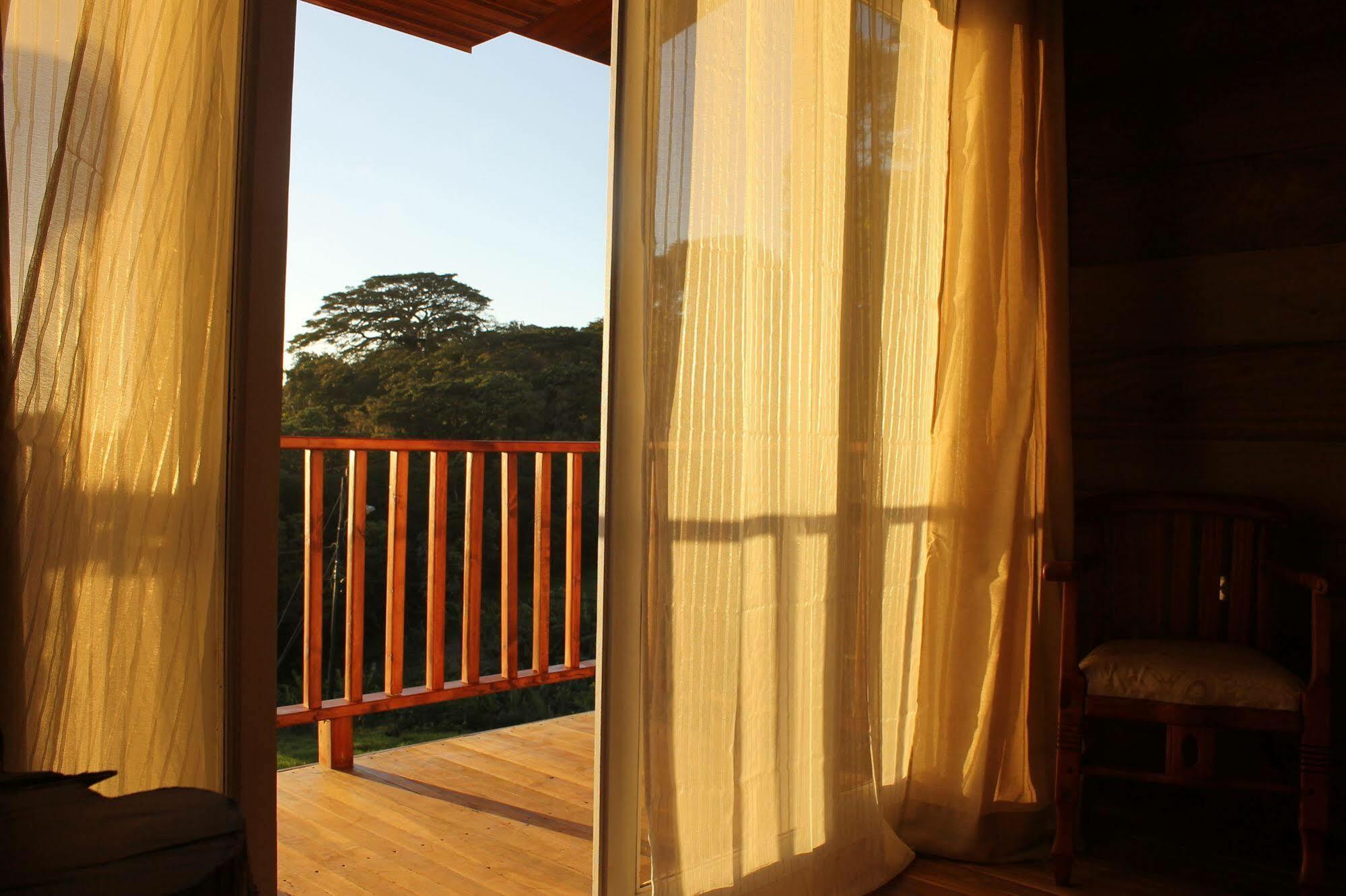 Hotel Bosque Verde Lodge Monteverde Exteriér fotografie